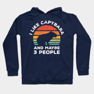 I Like Capybara and Maybe 3 People, Retro Vintage Sunset with Style Old Grainy Grunge Texture Hoodie